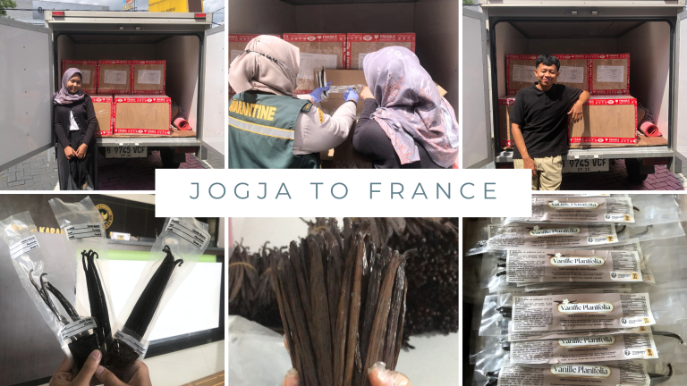 Export Vanilla Bean from Jogja to France