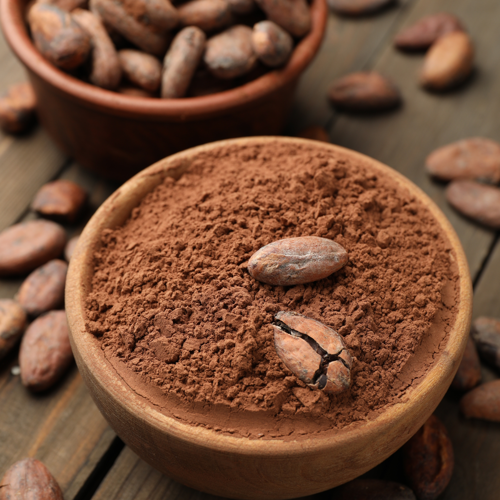 Premium Cocoa Powder Alkalized and Natural