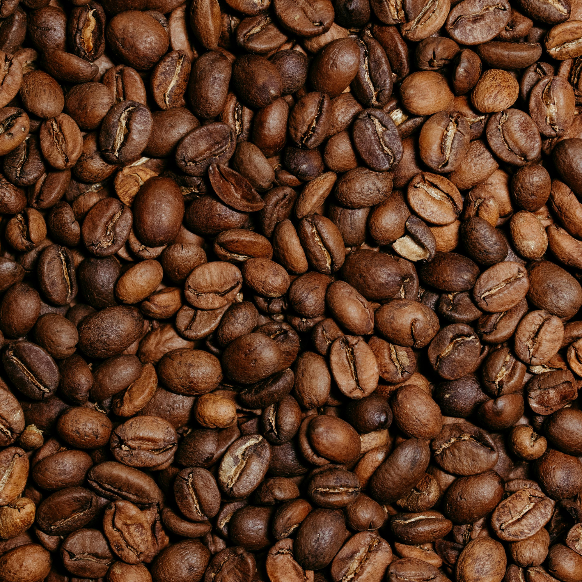 Specialty Coffee Flores Bajawa Green Bean and Roasted Bean