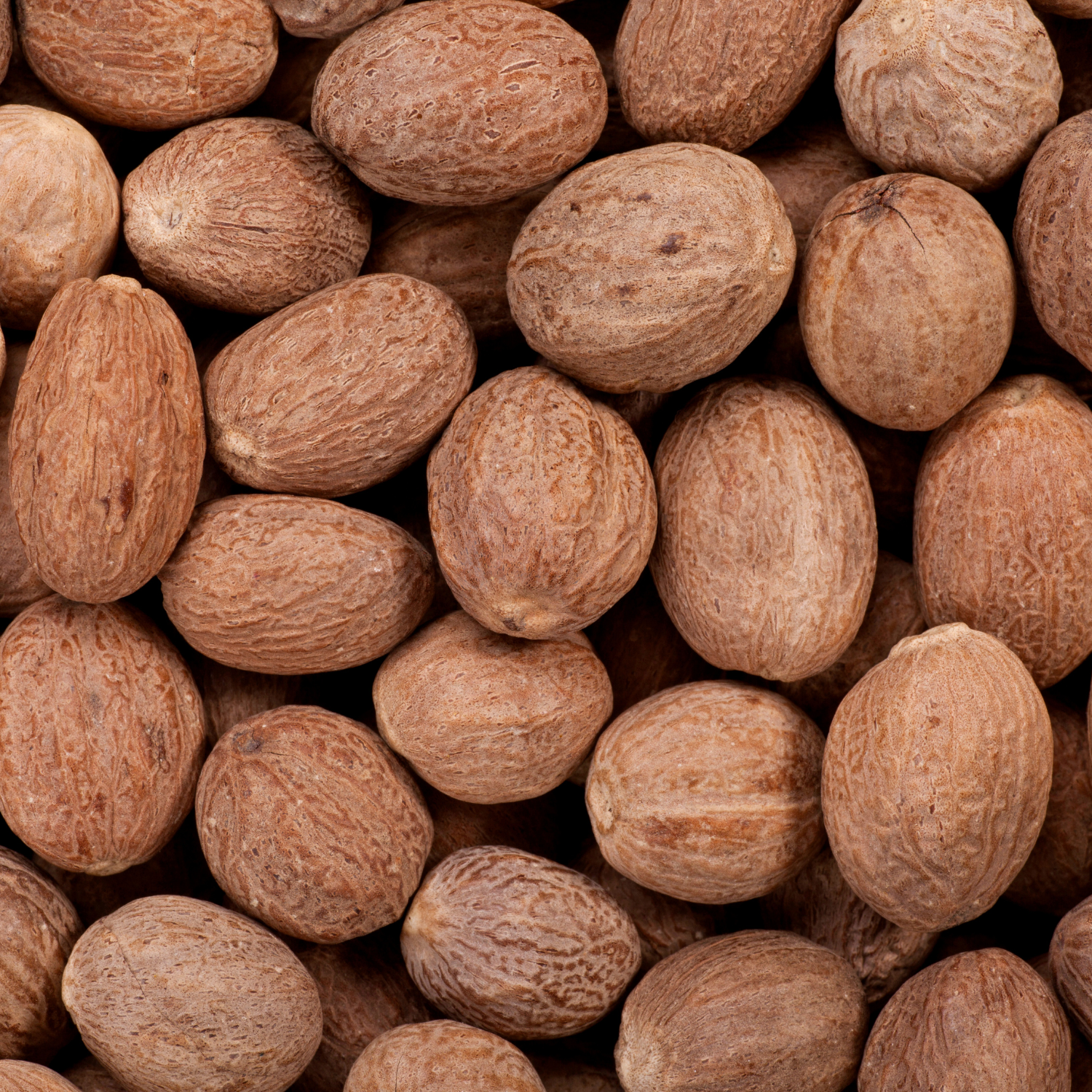 Indonesian Nutmeg
