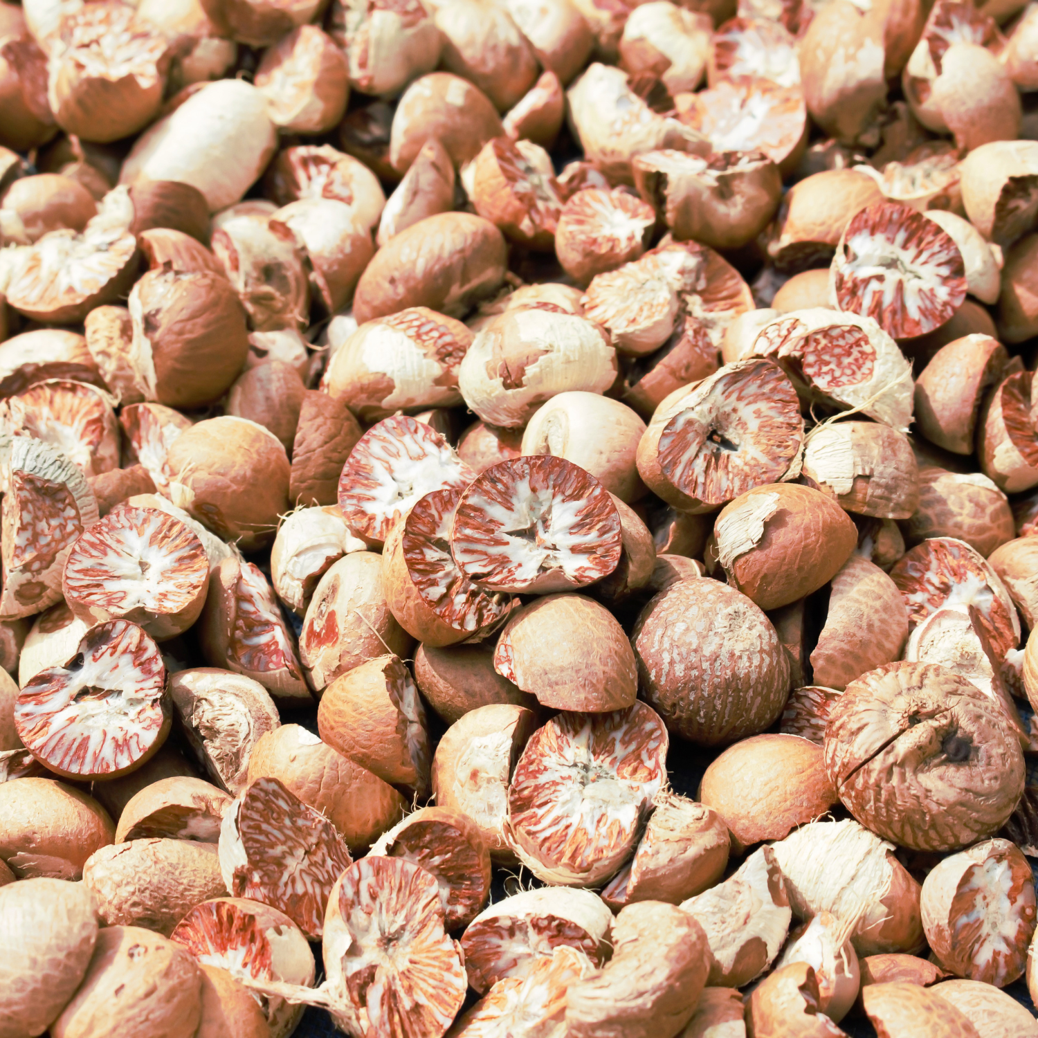 Indonesian Betel Nut