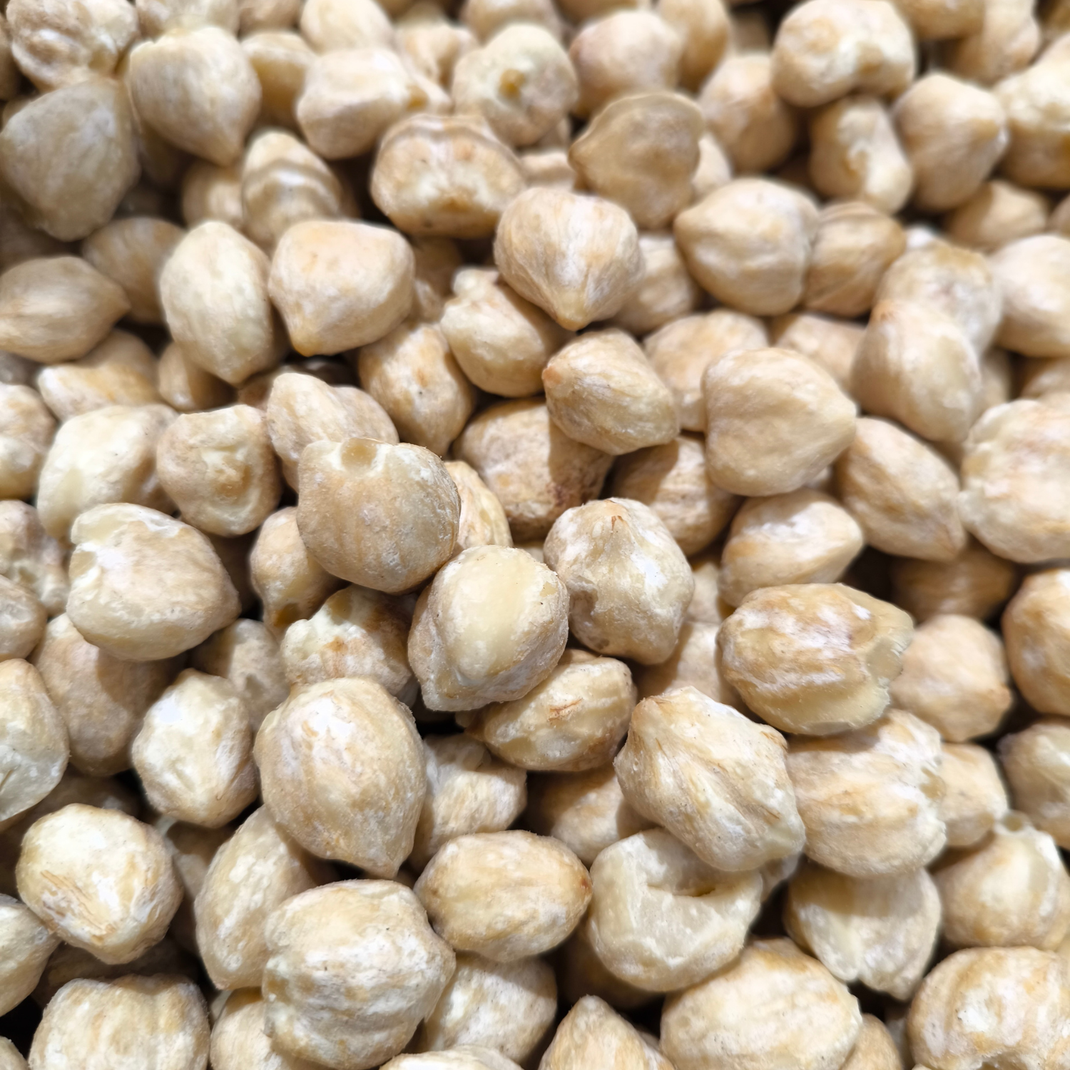 Indonesian Candlenut