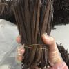 Vanilla Bean Planifolia Grade A