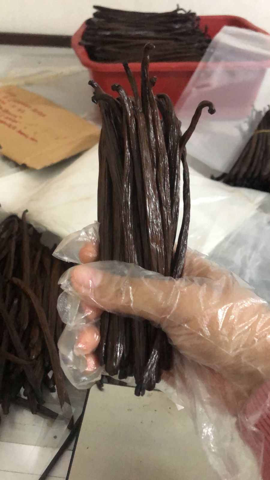 Vanilla Bean Planifolia Grade B